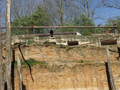 149 BIO PARC DE DOUE LA FONTAINE 5- 2016_000055